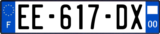 EE-617-DX