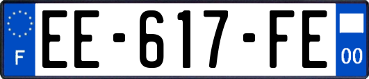 EE-617-FE