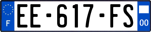 EE-617-FS