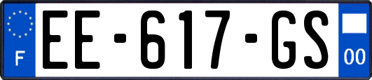 EE-617-GS