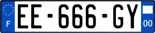 EE-666-GY