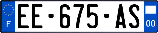 EE-675-AS