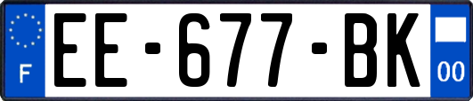 EE-677-BK