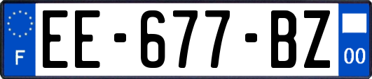 EE-677-BZ