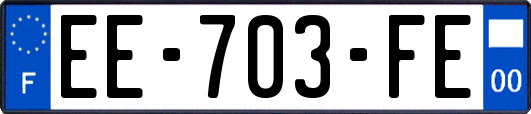EE-703-FE