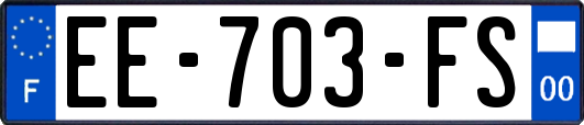 EE-703-FS