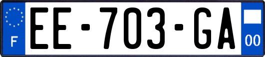 EE-703-GA