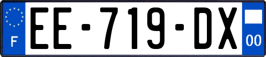 EE-719-DX