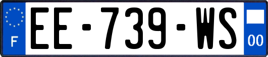 EE-739-WS