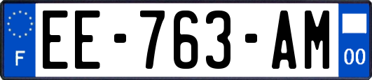 EE-763-AM