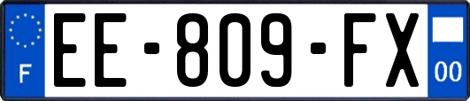 EE-809-FX