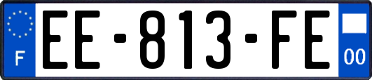 EE-813-FE