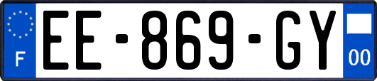 EE-869-GY