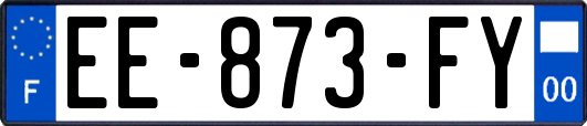 EE-873-FY