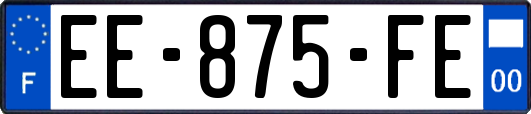 EE-875-FE