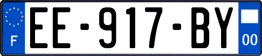 EE-917-BY