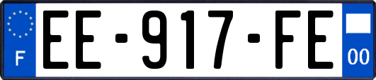 EE-917-FE