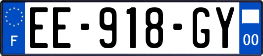 EE-918-GY