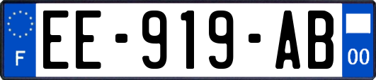 EE-919-AB