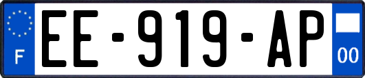 EE-919-AP