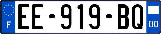 EE-919-BQ