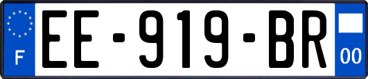 EE-919-BR