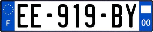 EE-919-BY