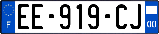 EE-919-CJ