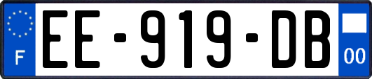 EE-919-DB