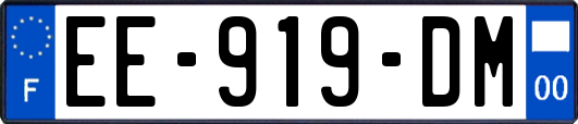 EE-919-DM
