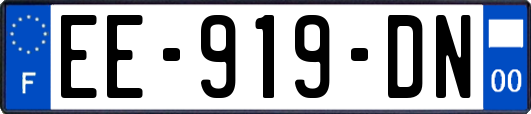 EE-919-DN