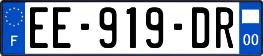 EE-919-DR