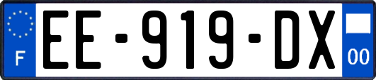 EE-919-DX
