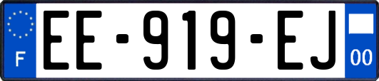 EE-919-EJ