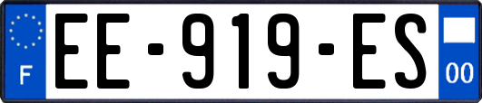 EE-919-ES