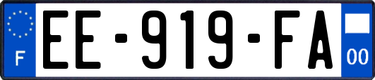 EE-919-FA