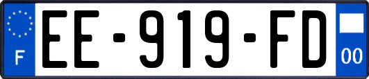 EE-919-FD