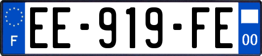EE-919-FE