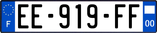 EE-919-FF