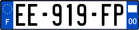 EE-919-FP