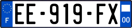 EE-919-FX