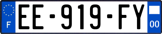 EE-919-FY