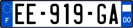 EE-919-GA
