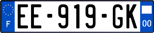 EE-919-GK