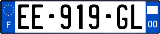 EE-919-GL