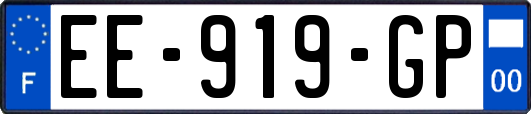 EE-919-GP