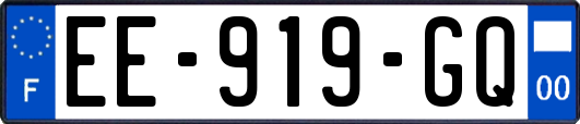 EE-919-GQ