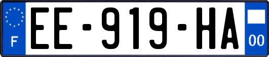EE-919-HA