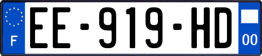 EE-919-HD