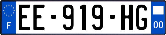 EE-919-HG